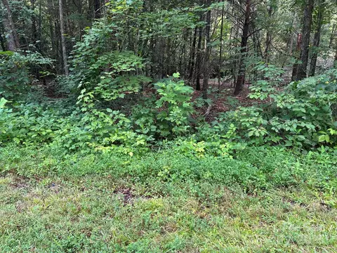 00 Freeman Rd, Bostic, NC 28018 photo 48