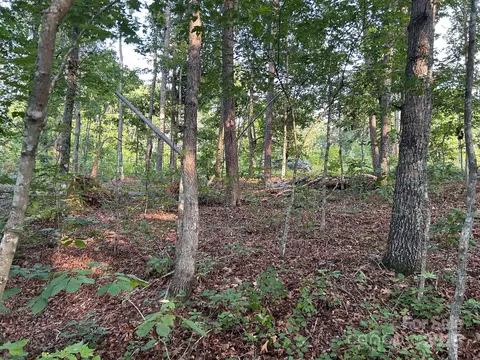 00 Freeman Rd, Bostic, NC 28018 photo 16