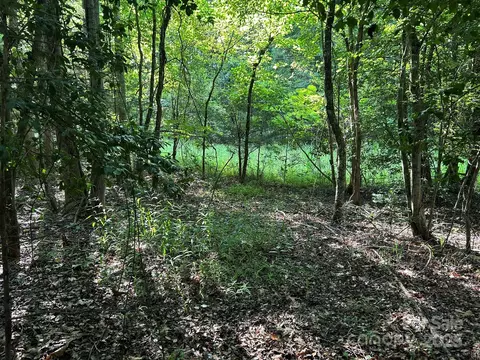 00 Freeman Rd, Bostic, NC 28018 photo 46