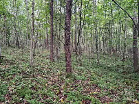 00 Freeman Rd, Bostic, NC 28018 photo 25