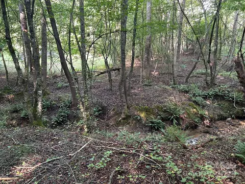 00 Freeman Rd, Bostic, NC 28018 photo 3
