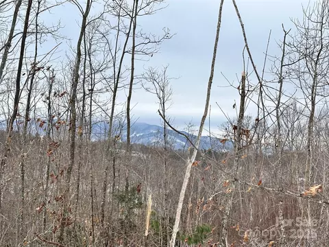 Black Bear Crossing, Elk Park, NC 28622