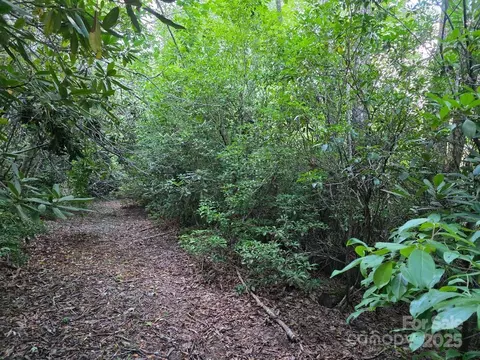 Pine Ridge Road, Burnsville, NC 28714