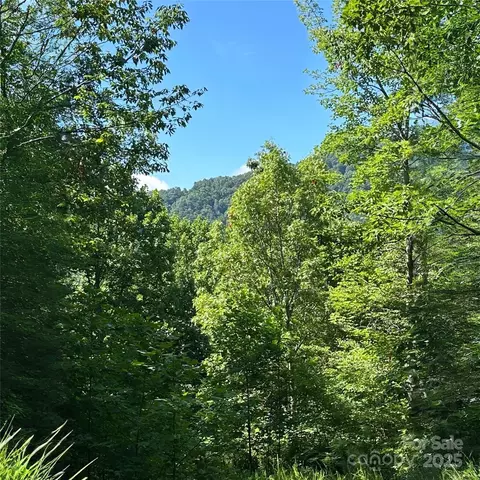 33 Nuthatch T-84 Ln #T-84, Black Mountain, NC 28711