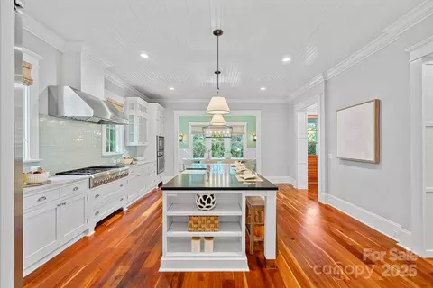 229 Brook St, Davidson, NC 28036 photo 15