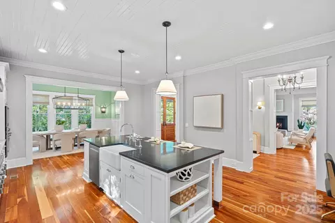 229 Brook St, Davidson, NC 28036 photo 16