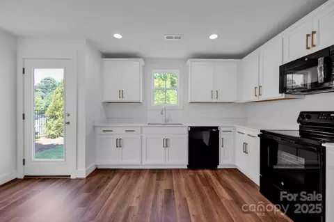 203 Davidson Gateway Dr, Davidson, NC 28036 photo 16