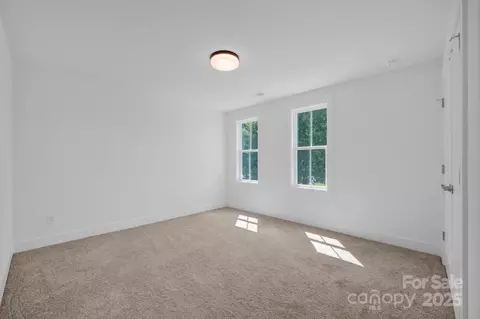 203 Davidson Gateway Dr, Davidson, NC 28036 photo 11