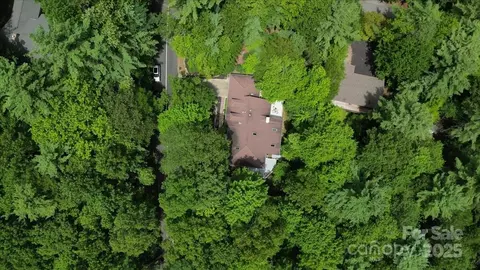 23 Dvga Ct, Brevard, NC 28712 photo 45
