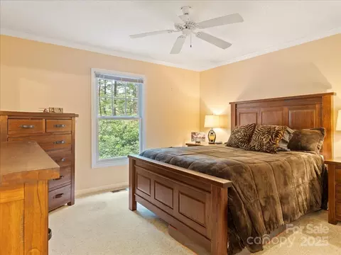 23 Dvga Ct, Brevard, NC 28712 photo 22