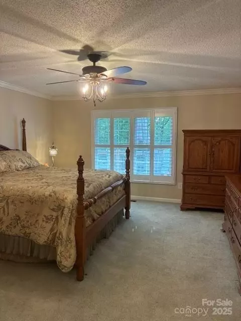 23 Dvga Ct, Brevard, NC 28712 photo 19