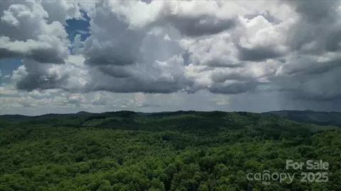 23 Dvga Ct, Brevard, NC 28712 photo 47
