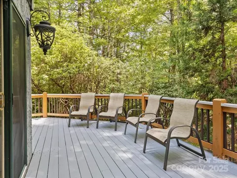 23 Dvga Ct, Brevard, NC 28712 photo 38