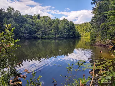 736 English Heifer Cove Rd, Flat Rock, NC 28731