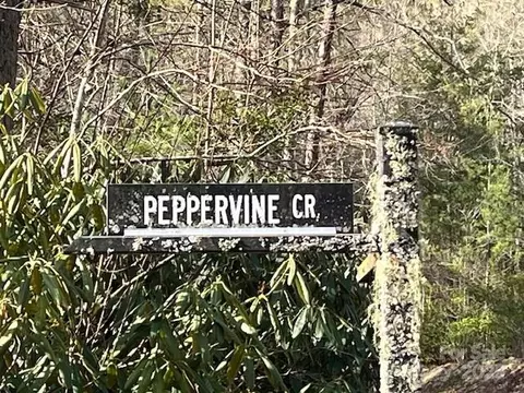 0000 Peppervine 97 Cir #97, Rosman, NC 28772