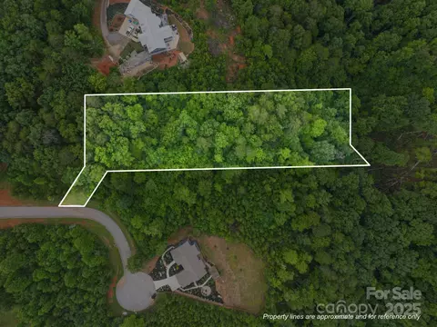 99999 Deer Jump 348 Trl #348, Lake Lure, NC 28746