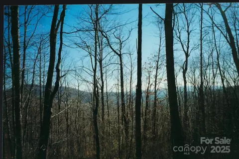 Damselfly Court, Spruce Pine, NC 28777