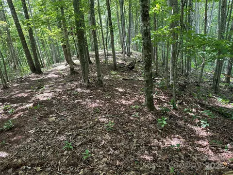 402 High Line Rd, Sylva, NC 28779 photo 3
