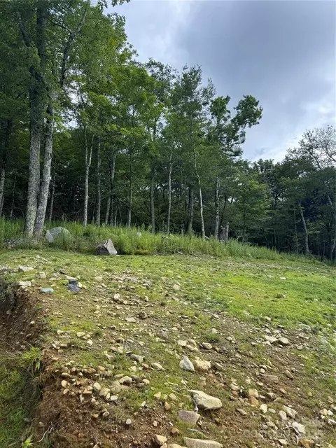 Buena Vista Loop, Sugar Mountain, NC 28604