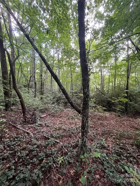 000 Greenleaf Dr, Flat Rock, NC 28731