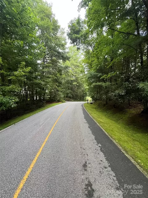 000 Greenleaf Dr, Flat Rock, NC 28731 photo 2
