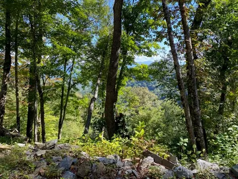2 Unula Loop #E-2, Maggie Valley, NC 28751 photo 2