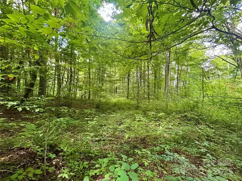 Nips Way, Cullowhee, NC 28723