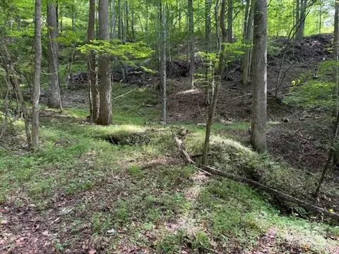 0 Cane Mountain Ln, Burnsville, NC 28714