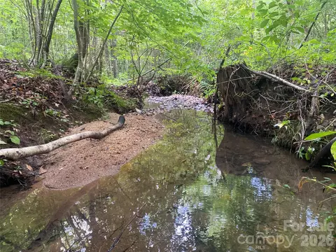 0 Camp Mccall Rd, Bostic, NC 28018 photo 21