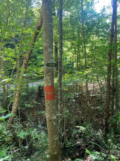 0 Camp Mccall Rd, Bostic, NC 28018 photo 20