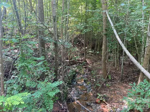 0 Camp Mccall Rd, Bostic, NC 28018 photo 17