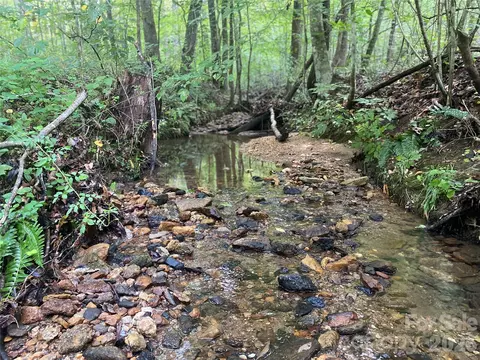 0 Camp Mccall Rd, Bostic, NC 28018 photo 18