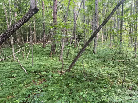 0 Camp Mccall Rd, Bostic, NC 28018 photo 27