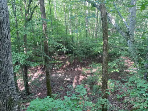 0 Camp Mccall Rd, Bostic, NC 28018 photo 16