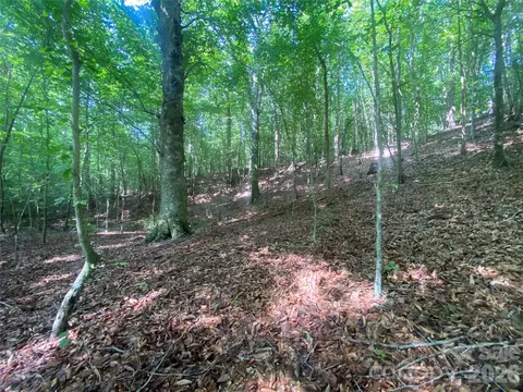 0 Camp Mccall Rd, Bostic, NC 28018 photo 19