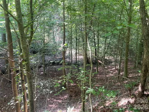 0 Camp Mccall Rd, Bostic, NC 28018 photo 25