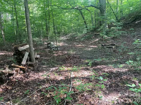0 Camp Mccall Rd, Bostic, NC 28018 photo 10