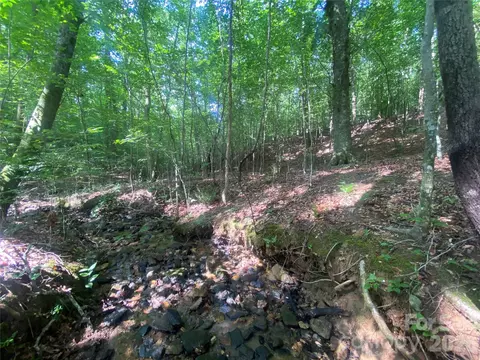 0 Camp Mccall Rd, Bostic, NC 28018 photo 11