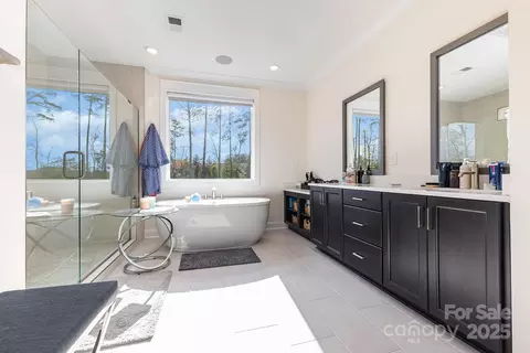 Bath - 123 Windy Dell Dr, Tega Cay, SC 29708 photo 3 of 7
