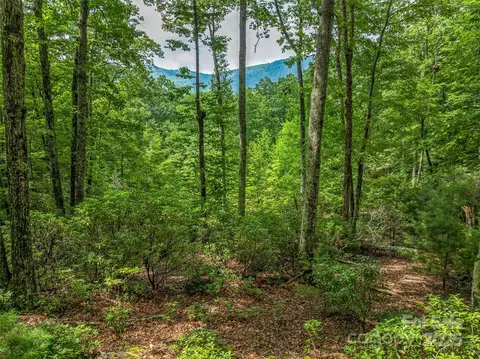 72 Smokey Ridge 196 Trl #196, Arden, NC 28704