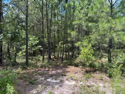 0000 Feather Run Rd, Kershaw, SC 29067