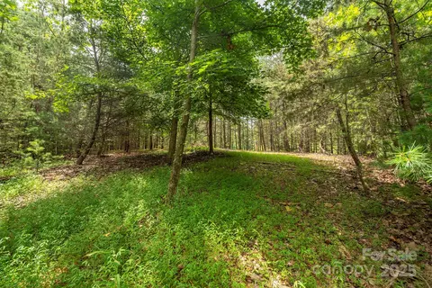 Black Forest Drive, Marion, NC 28752