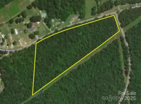 00 Blue Branch Tract A Rd #TRACT A, Gaffney, SC 29340