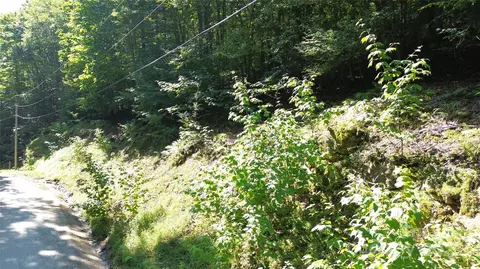 154 Raccoon Rd, Beech Mountain, NC 28604 photo 6