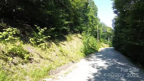 154 Raccoon Rd, Beech Mountain, NC 28604 photo 8