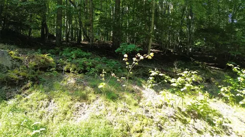 154 Raccoon Rd, Beech Mountain, NC 28604 photo 9