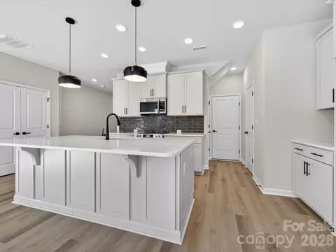 229 Alluvium Ln, Waxhaw, NC 28173
