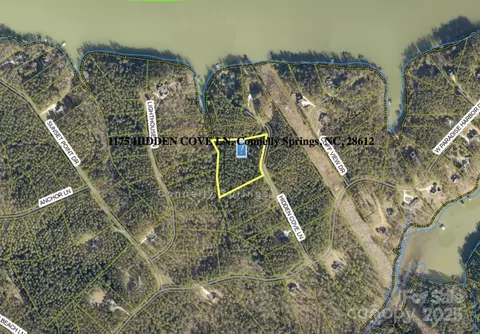 1175 Hidden Cove Ln, Connelly Springs, NC 28612