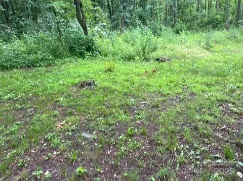 1130 Bishop Ln, Mill Spring, NC 28756