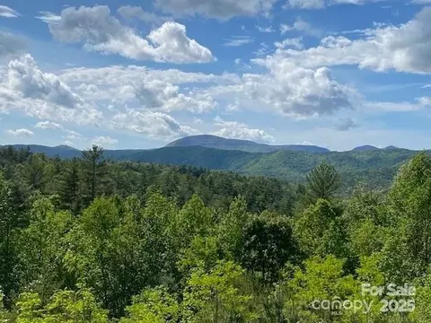 Peppervine Circle, Rosman, NC 28772